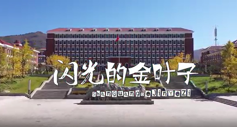 师生共同演绎教师原创歌曲《闪光的金叶子》