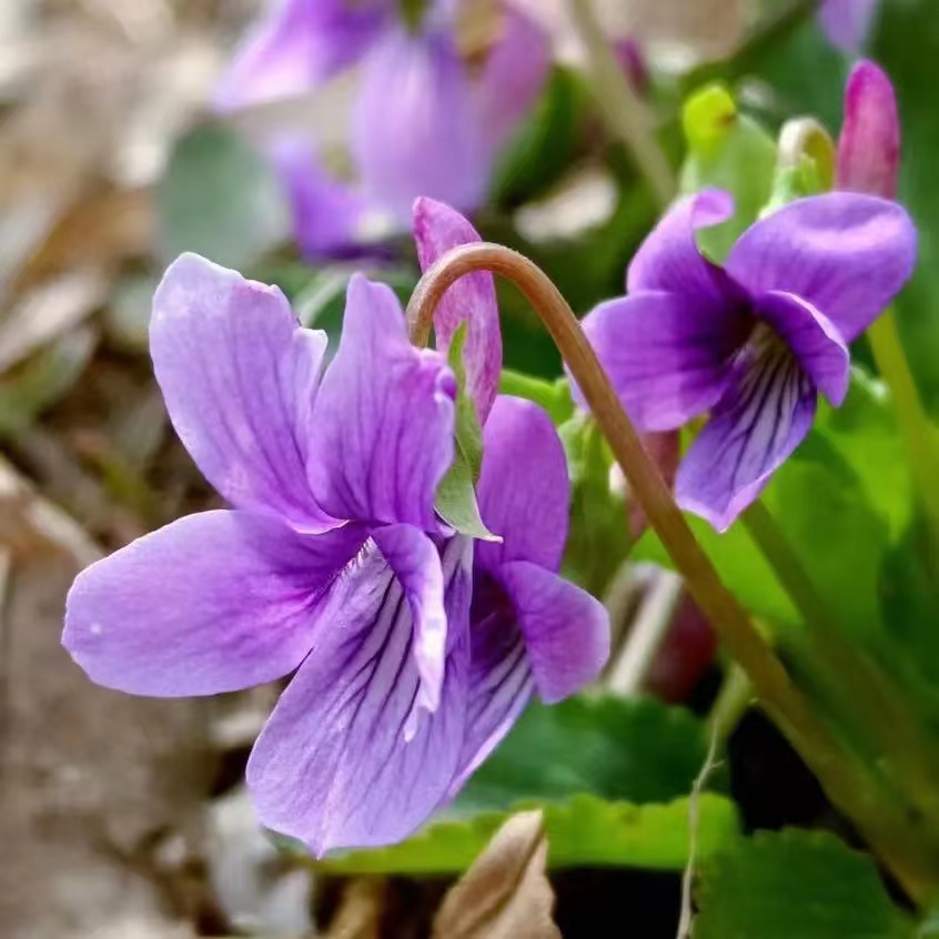 39720773ed416bbaa958d63b078fc9b - 副本.jpg