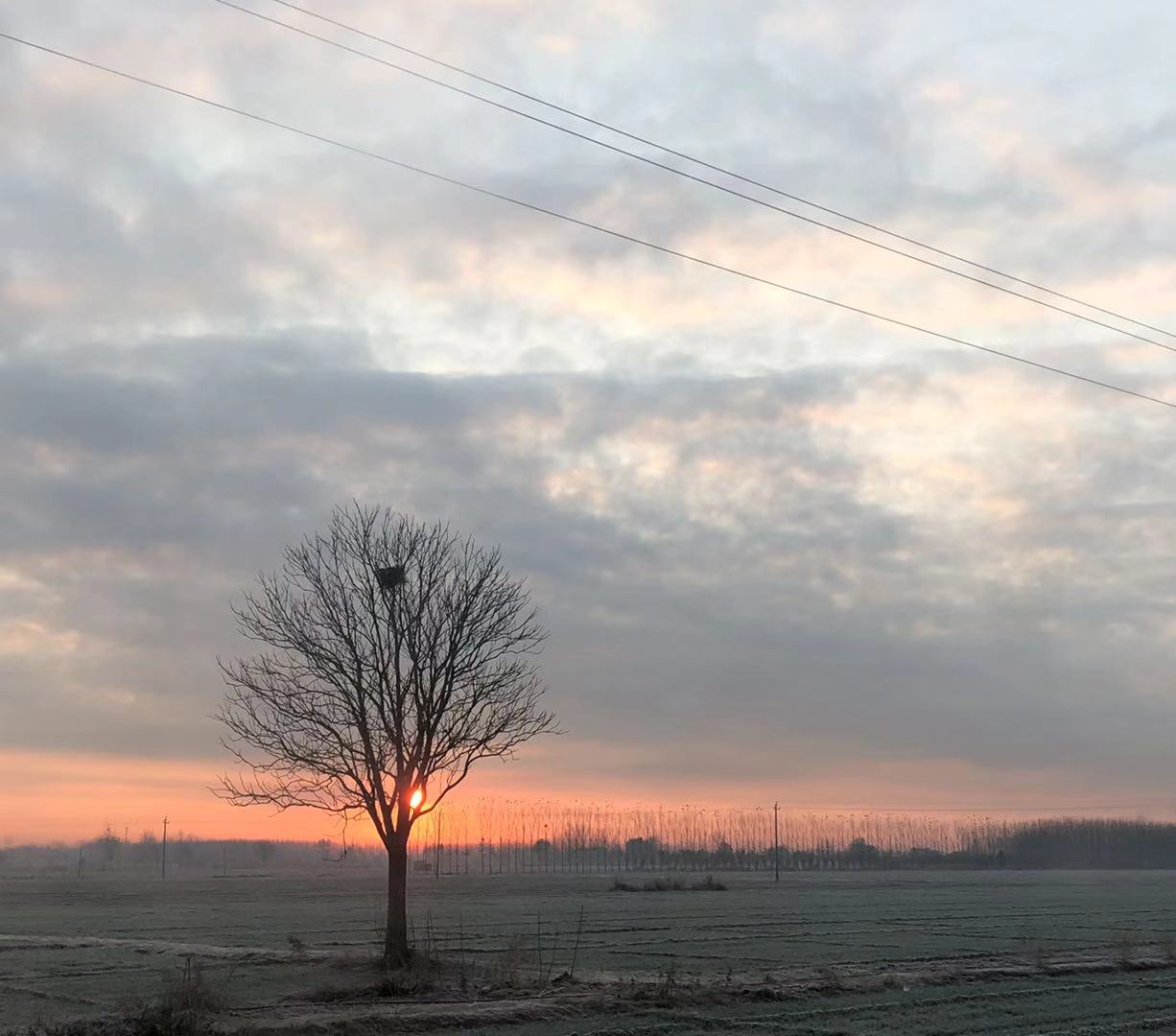 记录生活 高柱 数字媒体应用2002。.jpg