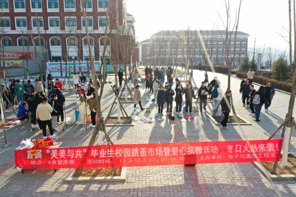 跳蚤市场DJI_0372.JPG